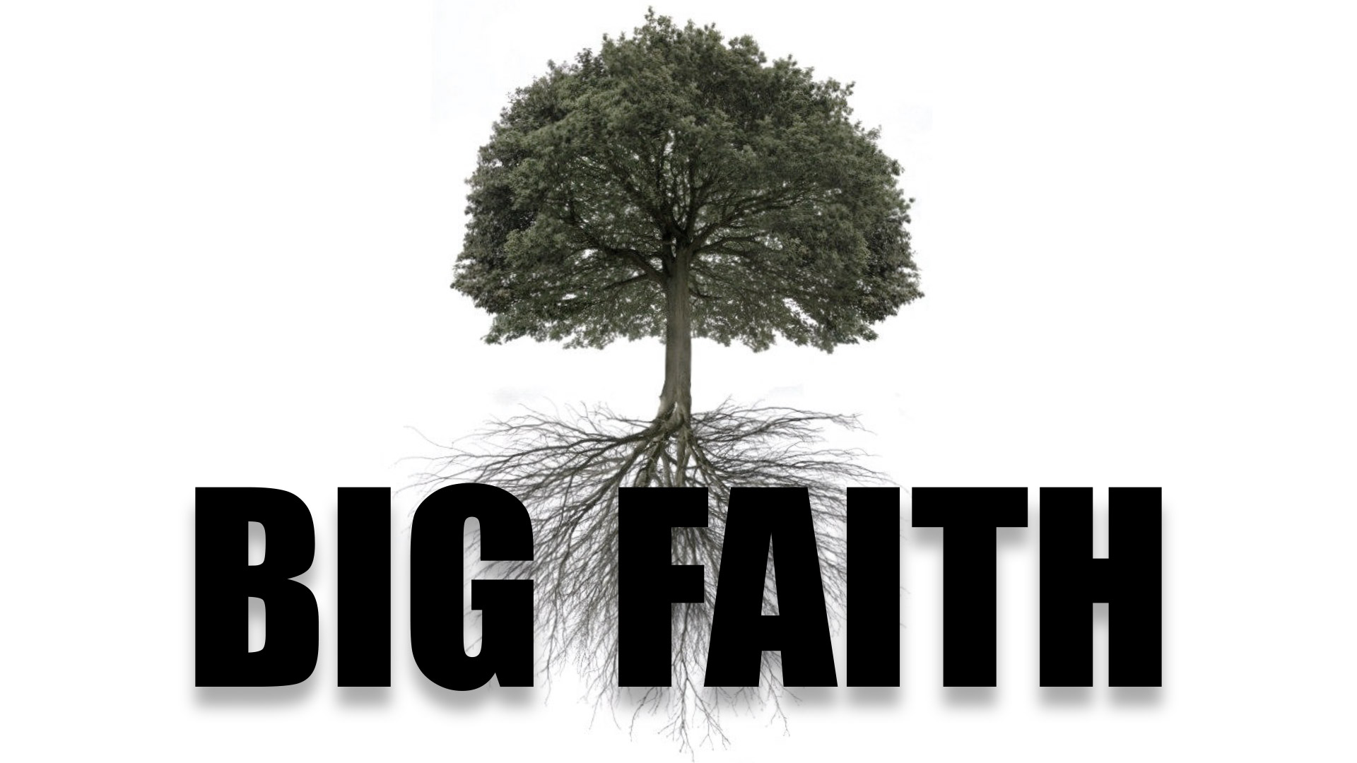 BIG FAITH- WEEK 2- DIGGING MY FAITH