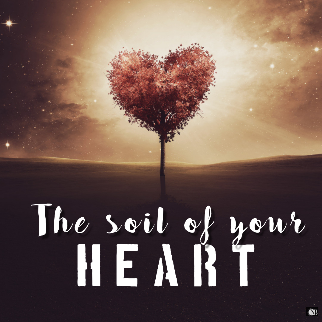 THE SOIL OF YOUR HEART? WEEK 2