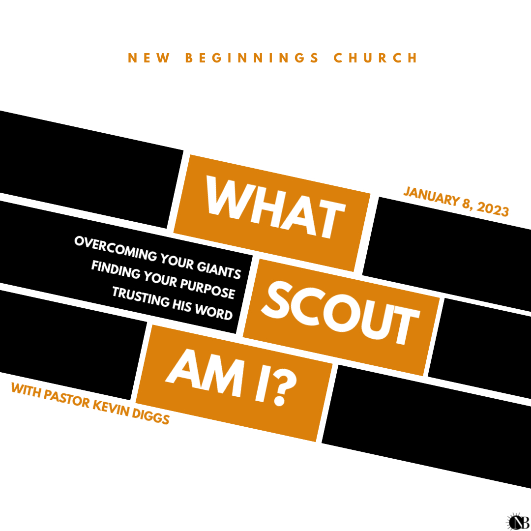 WHAT SCOUT AM I?